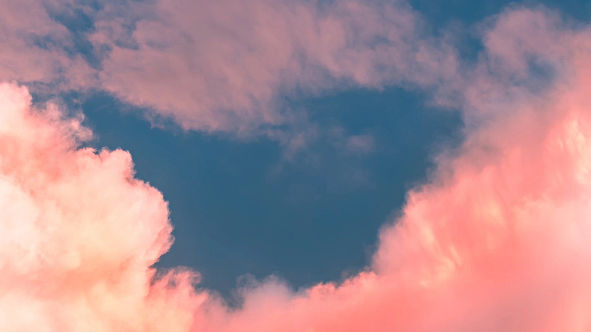 血亏之后再来研究SVIX